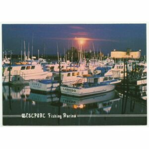 WESTPORT WASHINGTON USA WIDOKÓWKA WR7730