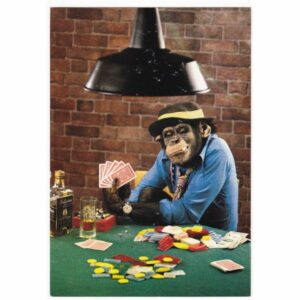 SZYMPANS POCZTÓWKA A44579