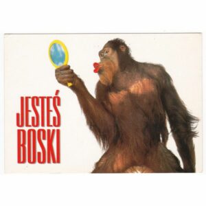 MAŁPA POCZTÓWKA A44597