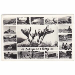 ZAKOPANE TATRY WIDOKÓWKA A44815