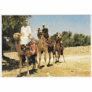 WIELBŁĄDY POCZTÓWKA A46670