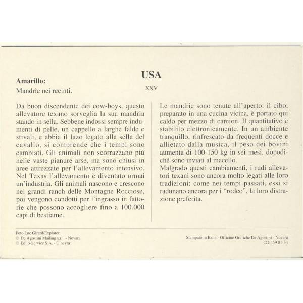 USA AMARILLO KOŃ WIDOKÓWKA A46877