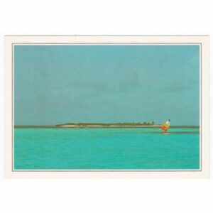 WYSPY NA WIETRZE WIDOKÓWKA A46981