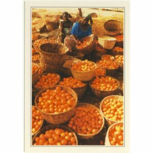 BURKINA FASO WIDOKÓWKA A47058