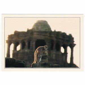 INDIE MODHERA WIDOKÓWKA A47149