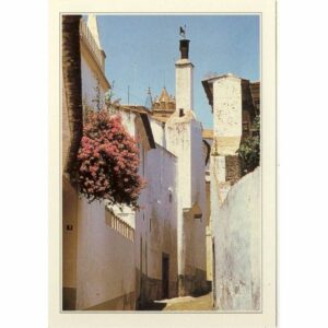 PORTUGALIA EVORA WIDOKÓWKA A47163