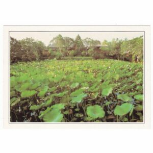 INDONEZJA BALI WIDOKÓWKA A47193