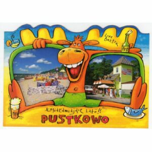 PUSTKOWO WIDOKÓWKA WR8369