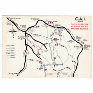 WŁOCHY BOLONIA MAPKA WIDOKÓWKA A48434