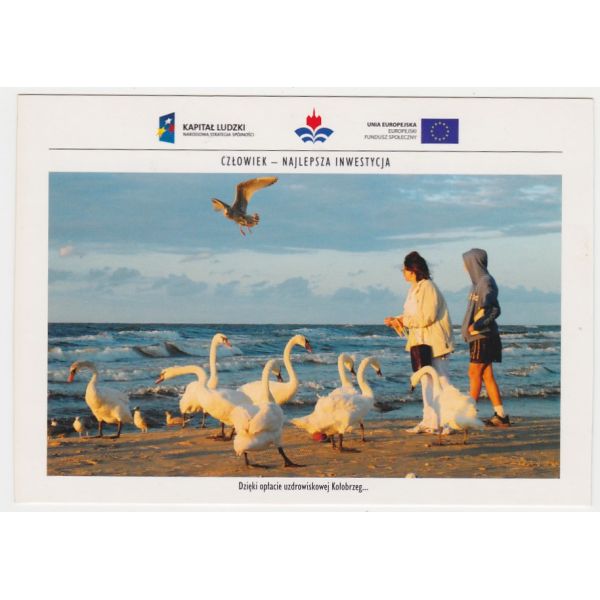KOŁOBRZEG ŁABĘDZIE WIDOKÓWKA A49296
