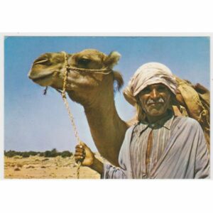 WIELBŁĄD POCZTÓWKA A49441