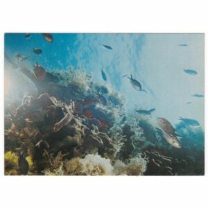 PODWODNY ŚWIAT RAFA KORALOWA WIDOKÓWKA A50039