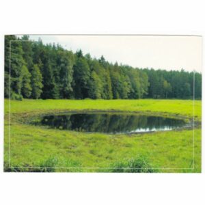 NADLEŚNICTWO STRZAŁOWO WIDOKÓWKA A51273