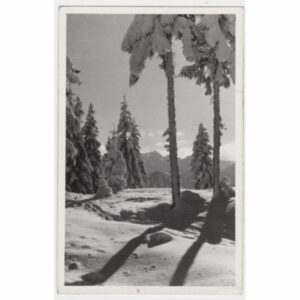 ZAKOPANE I TATRY WIDOKÓWKA A47743