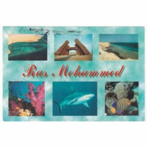 RYBY RED SEA POCZTÓWKA A53568