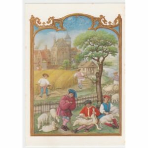 ŻNIWA I STRZYŻENIE OWIEC KRAJOBRAZ STARA GRAFIKA POCZTÓWKA A53902