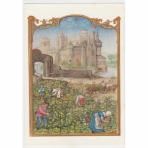 WINOBRANIE KRAJOBRAZ ZAMEK STARA GRAFIKA POCZTÓWKA A53903