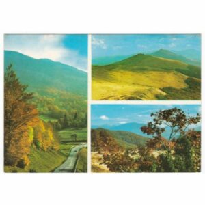 BIESZCZADY WIDOKÓWKA A54135