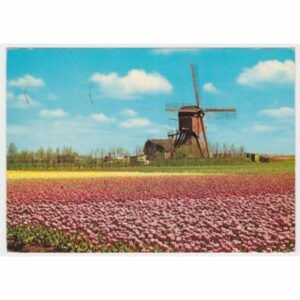 HOLANDIA WIATRAK WIDOKÓWKA A54428