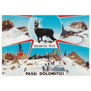 WŁOCHY DOLOMITY KOZICA ZIMA WIDOKÓWKA A56385