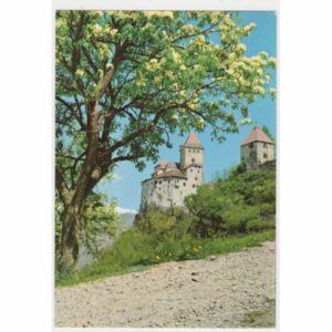 WŁOCHY PONTE GARDENA ZAMEK WIDOKÓWKA A57463