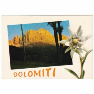 WŁOCHY DOLOMITY SZAROTKA WIDOKÓWKA A57514