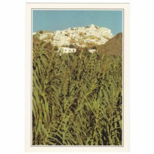 HISZPANIA MOJACAR WIDOKÓWKA A58014