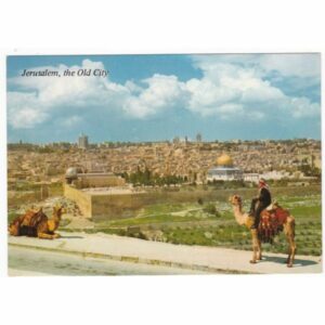 WIELBŁĄD JEROZOLIMA POCZTÓWKA A58140