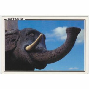 WŁOCHY CATANIA SŁOŃ WIDOKÓWKA A58194