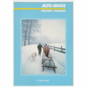 WŁOCHY ALTO ADIGE SANIE KOŃ PIES WIDOKÓWKA A58239