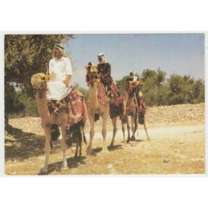 WIELBŁĄDY JEROZOLIMA POCZTÓWKA A58242