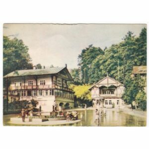 SZCZAWNICA WIDOKÓWKA A58850