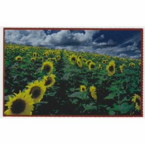 IMMAGINI D'EUROPA WIDOKÓWKA A59154