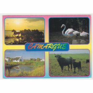 LA CAMARGUE KONIE KROWY FLAMINGI POCZTÓWKA A59305