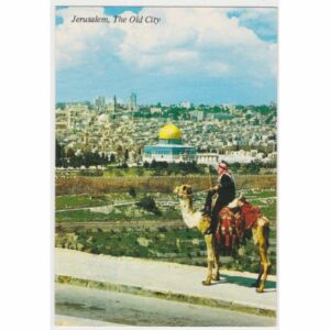 WIELBŁĄD JEROZOLIMA POCZTÓWKA A59599