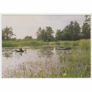 NAD JEZIOREM POCZTÓWKA A60715