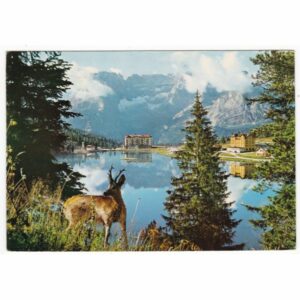 WŁOCHY JEZIORO MISURINA SARNA WIDOKÓWKA A61146