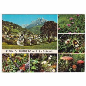 WŁOCHY DOLOMITY PRZYRODA ROŚLINY GRZYBY WIDOKÓWKA A61188