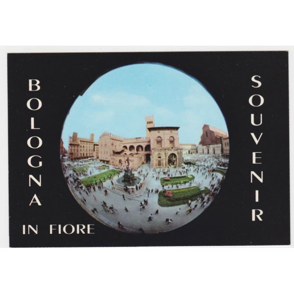 BOLONIA WIDOKÓWKA A61948