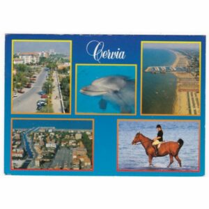 WŁOCHY CERVIA DELFIN KOŃ WIDOKÓWKA A62368