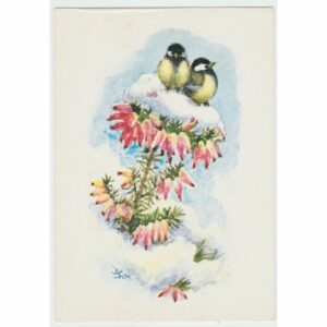 SIKORKI POCZTÓWKA A62837