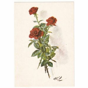 RÓŻE POCZTÓWKA A63187