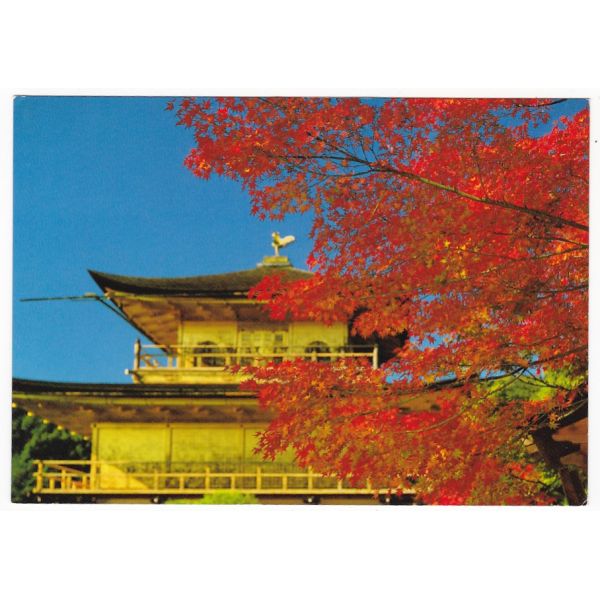 CHINY WIDOKÓWKA A64110