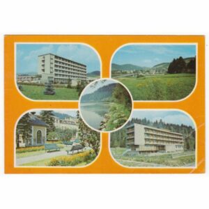 MUSZYNA WIDOKÓWKA A64332