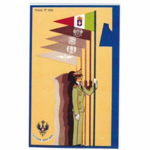 ŻOŁNIERZ MAK PI 100 POCZTÓWKA A64385