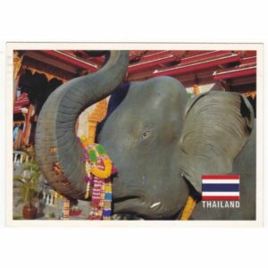 SŁOŃ TAJLANDIA WIDOKÓWKA A64803