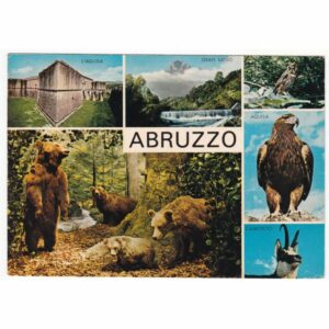 WŁOCHY ABRUZZO NIEDŹWIEDŹ ORZEŁ SOWA KOZICA WIDOKÓWKA A64849