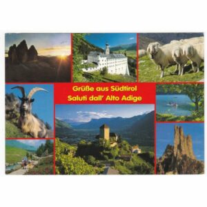 WŁOCHY ALTO ADIGE ZWIERZĘTA ZAMEK WIDOKÓWKA A64855