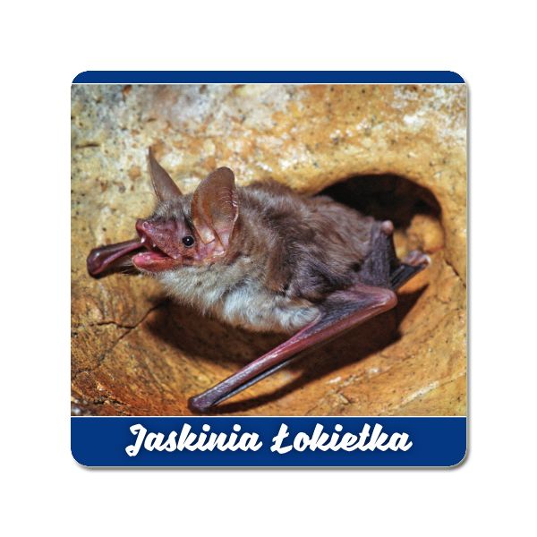 MAGNES NA LODÓWKĘ OJCÓW JASKINIA ŁOKIETKA NIETOPERZ (651)