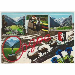 WŁOCHY COGNE STRÓJ LUDOWY KOZIOROŻEC ALPEJSKI POCZTÓWKA A65332